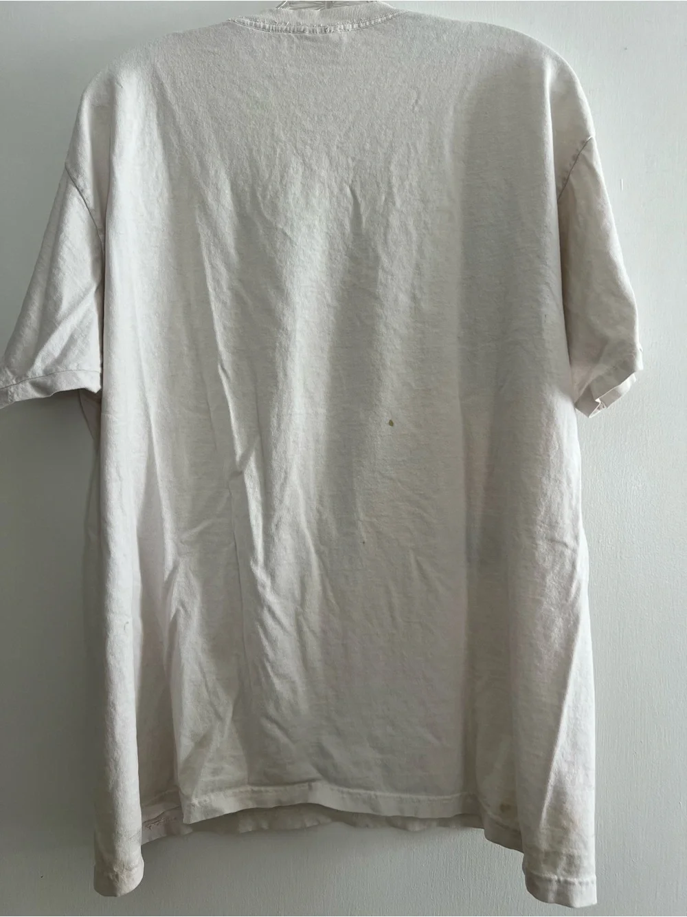 Anvil Cream Short Sleeve Tee with Dolphin Sunset Graphic